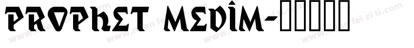 prophet medim字体转换